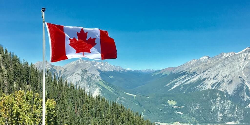 What To Do If Your Are Laid Off In Canada What To Do If Your Are Laid Off In Canada