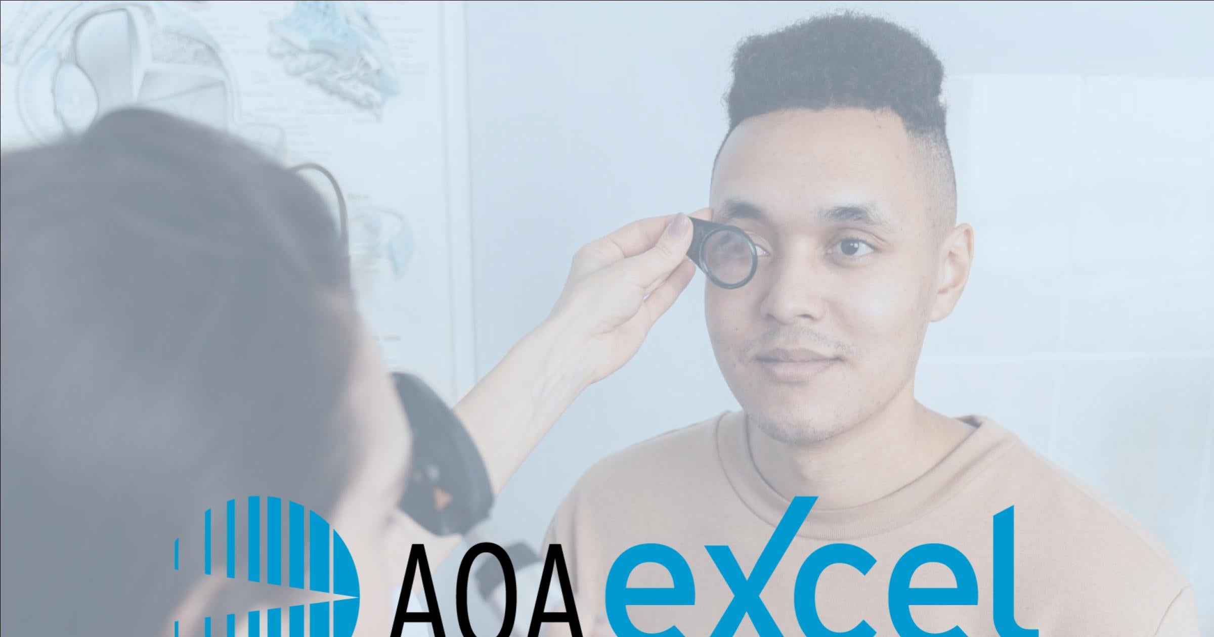 AOAExcel Career Center