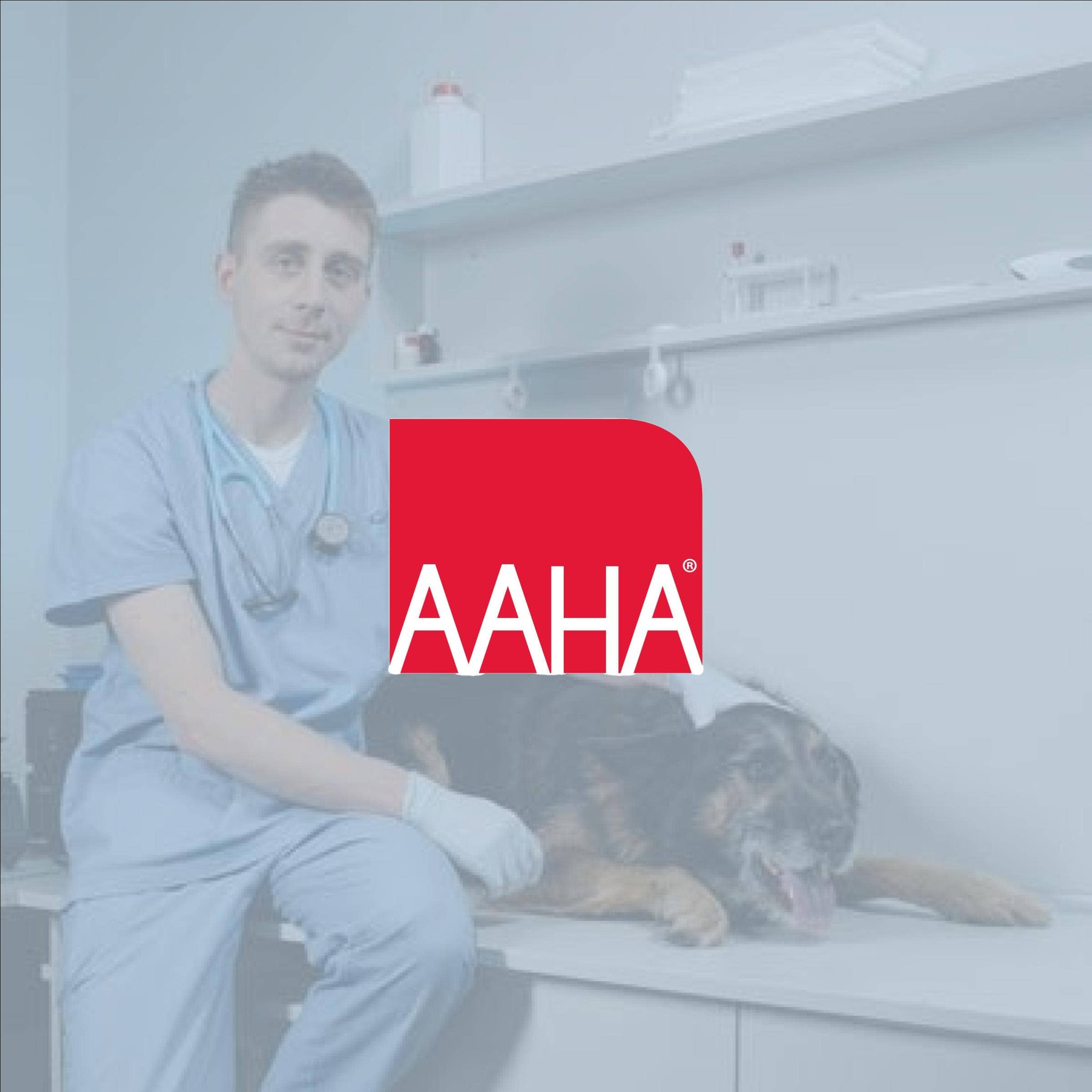 American Animal Hospital Association Career Center