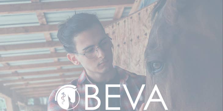British Equine Veterinary Association logo