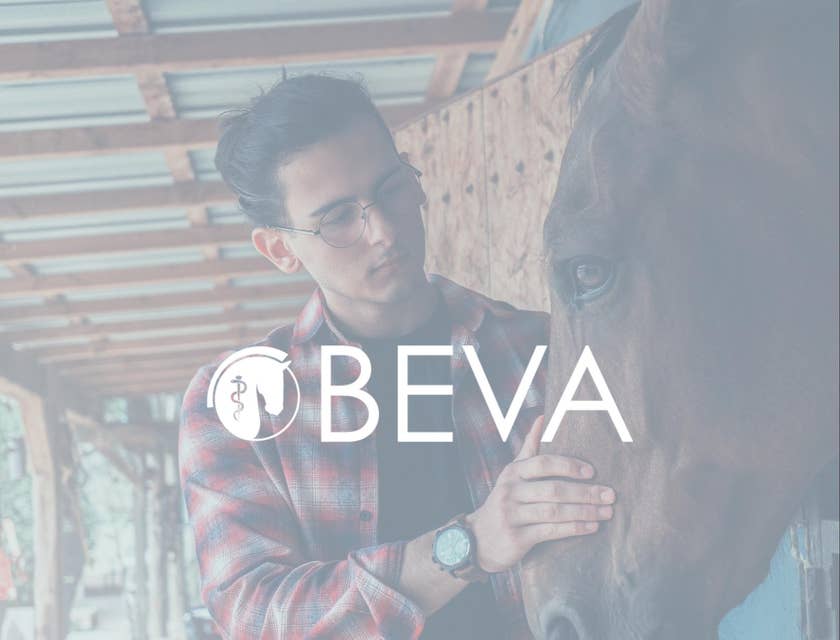 British Equine Veterinary Association logo