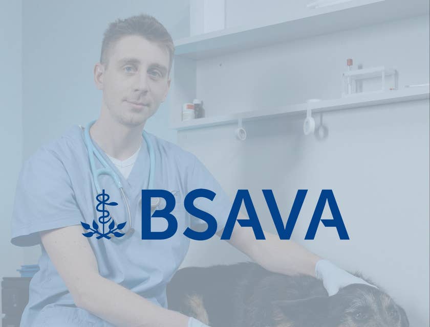 BSAVA logo.