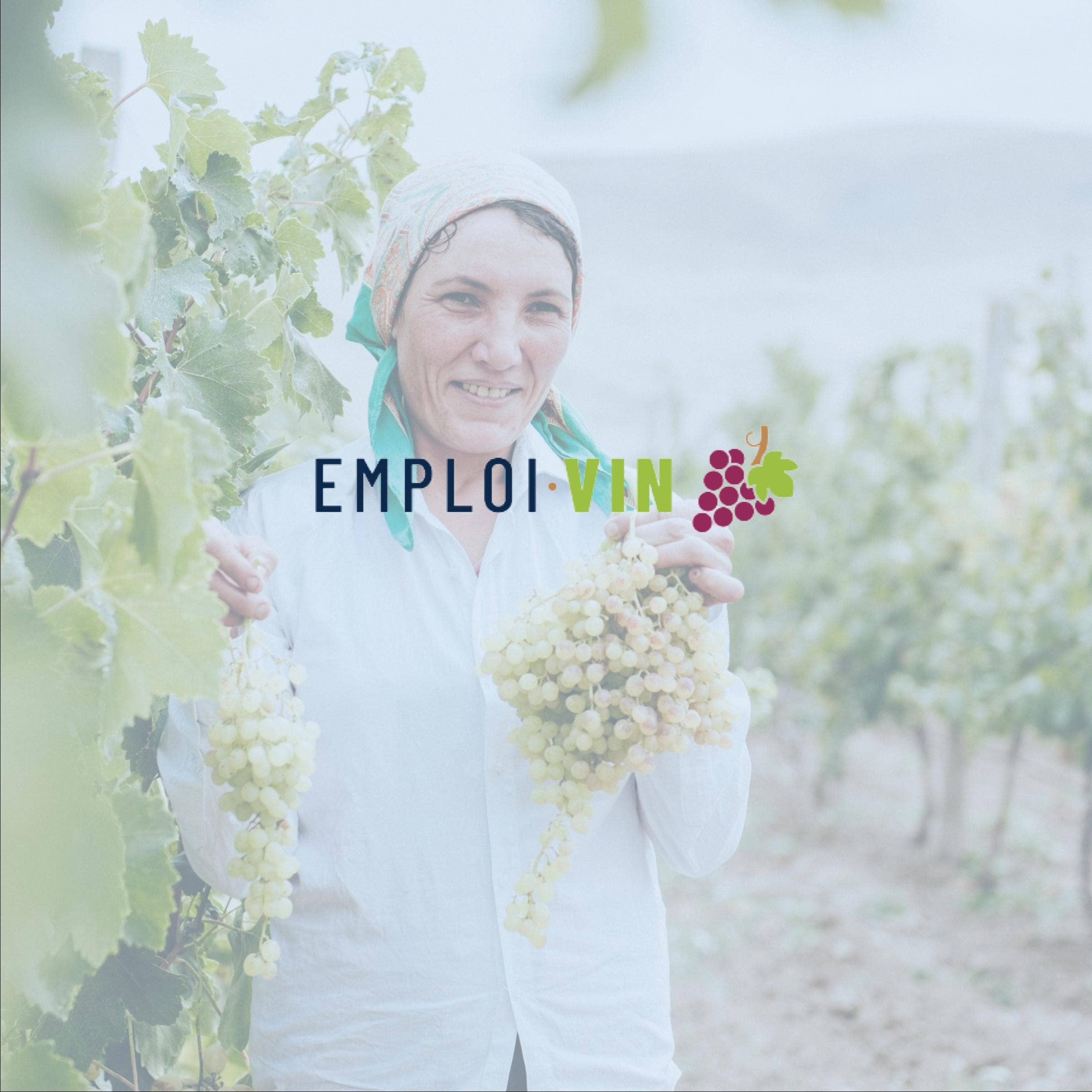 Évaluation d'EMPLOI VIN avec tarifs, alternatives et FAQs
