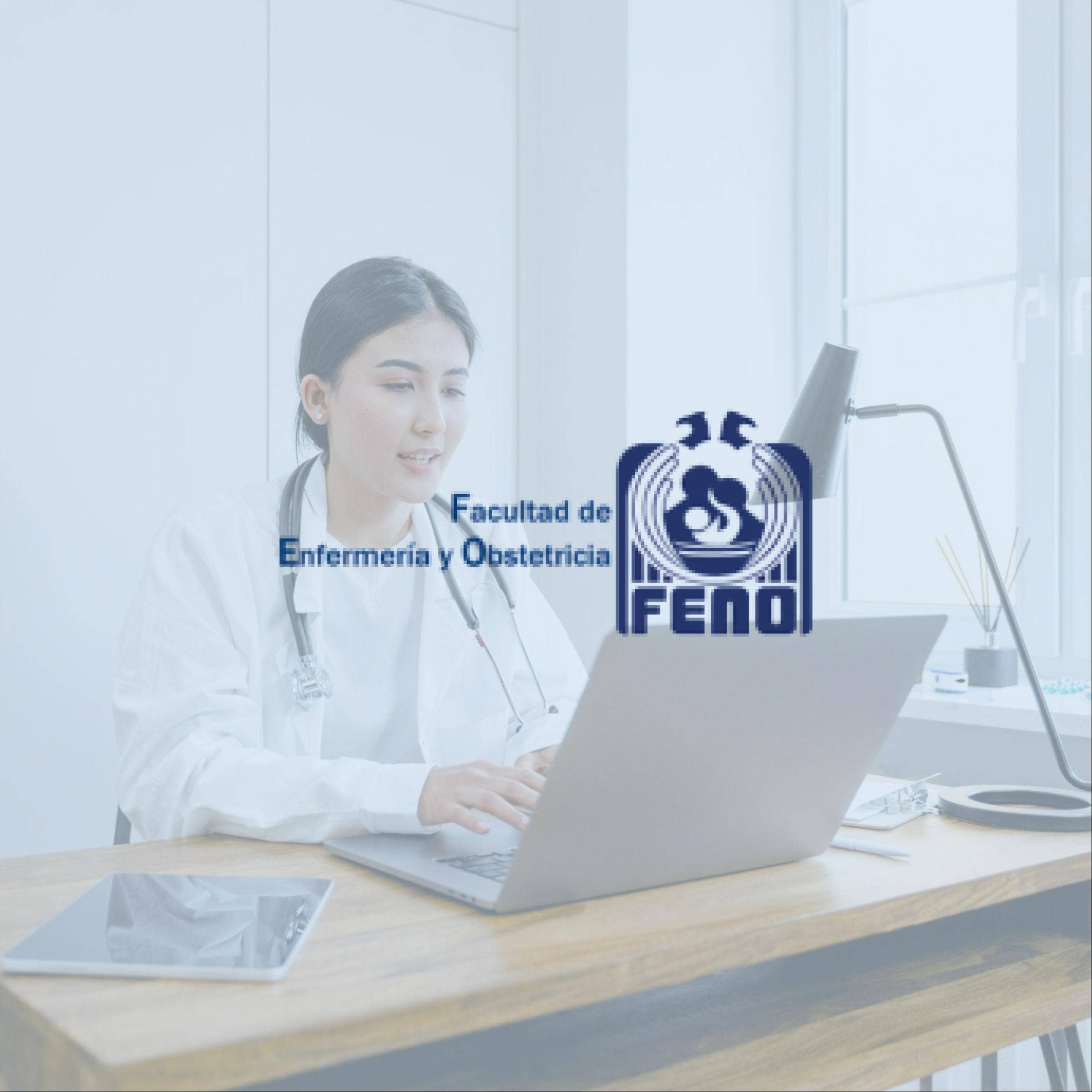 FENO Bolsa de Trabajo - Reseña con precios, comparativos y preguntas frecuentes