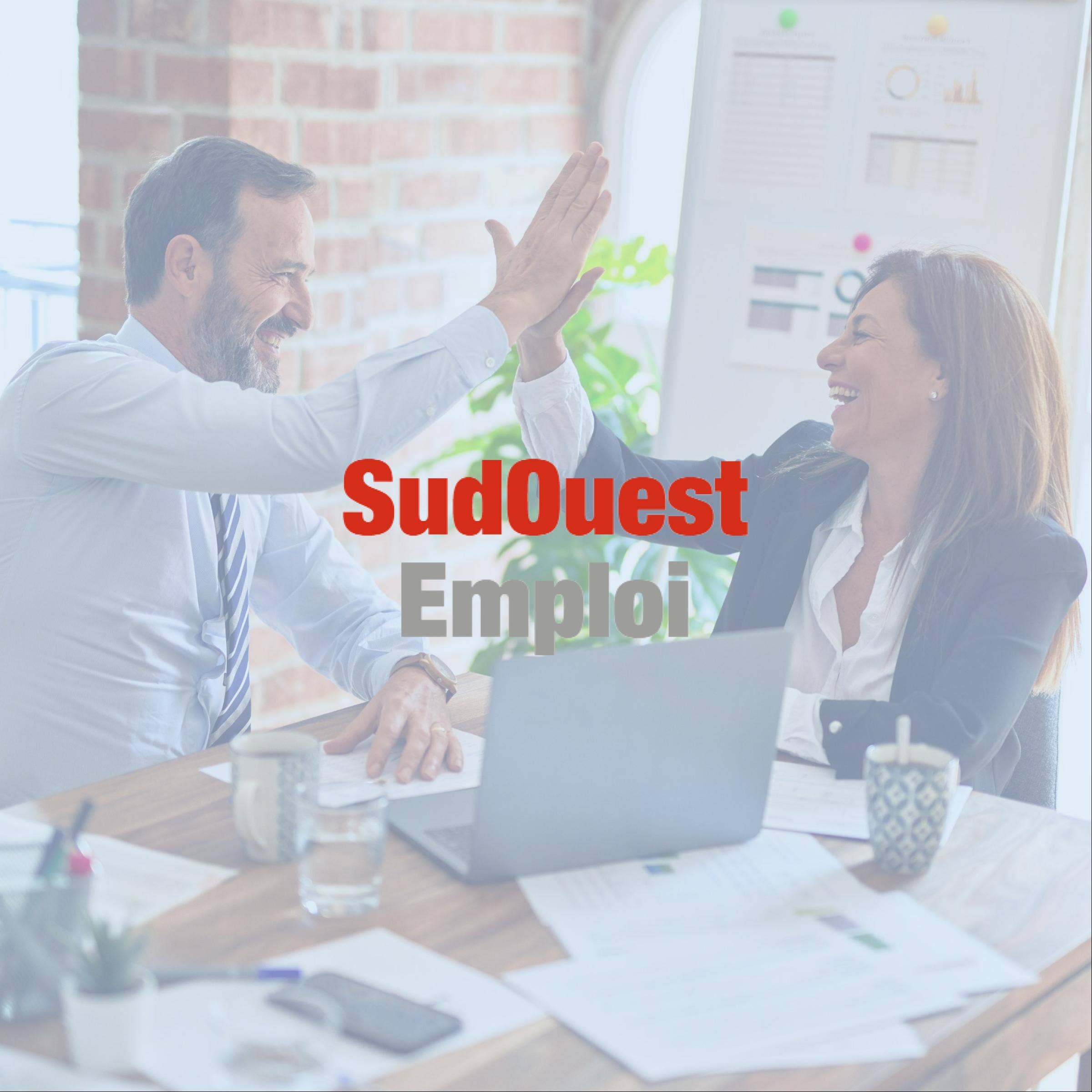 Évaluation de SudOuest-Emploi avec tarifs, alternatives et FAQs