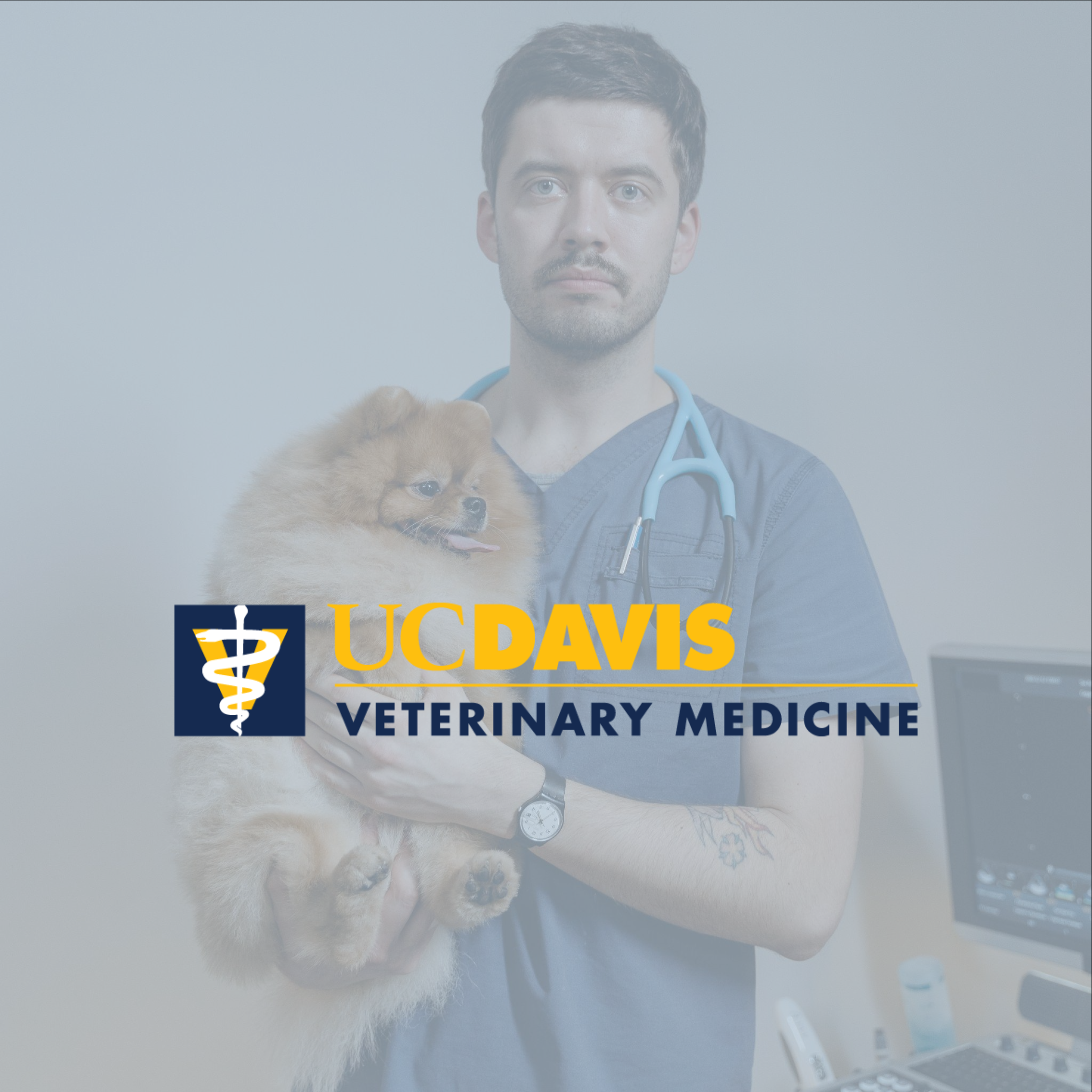 VetMedJobs