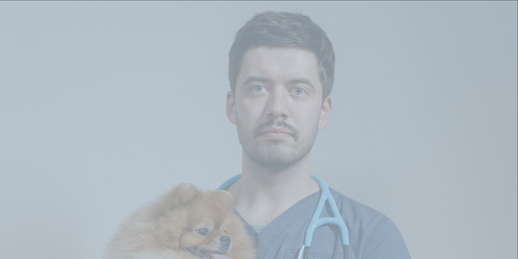 UC Davis Veterinary Medicine logo.