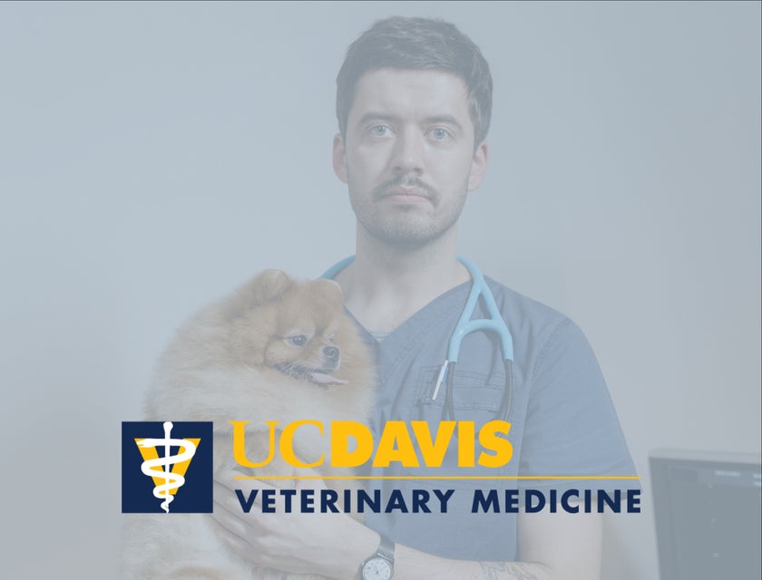 UC Davis Veterinary Medicine logo.