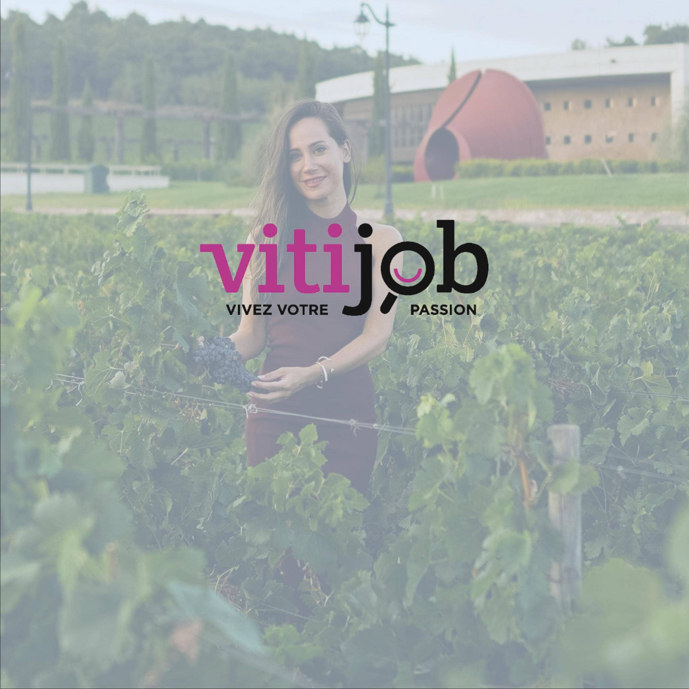 Évaluation de Vitijob avec tarifs, alternatives et FAQs