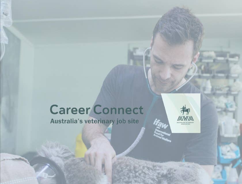 AVA Career Connect logo.