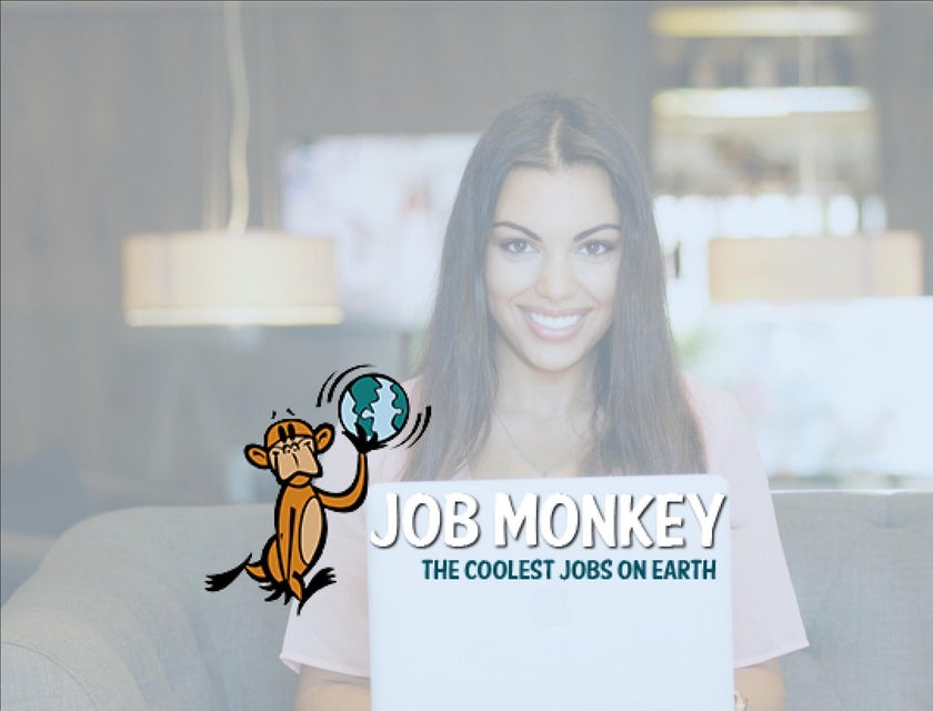 JobMonkey logo.