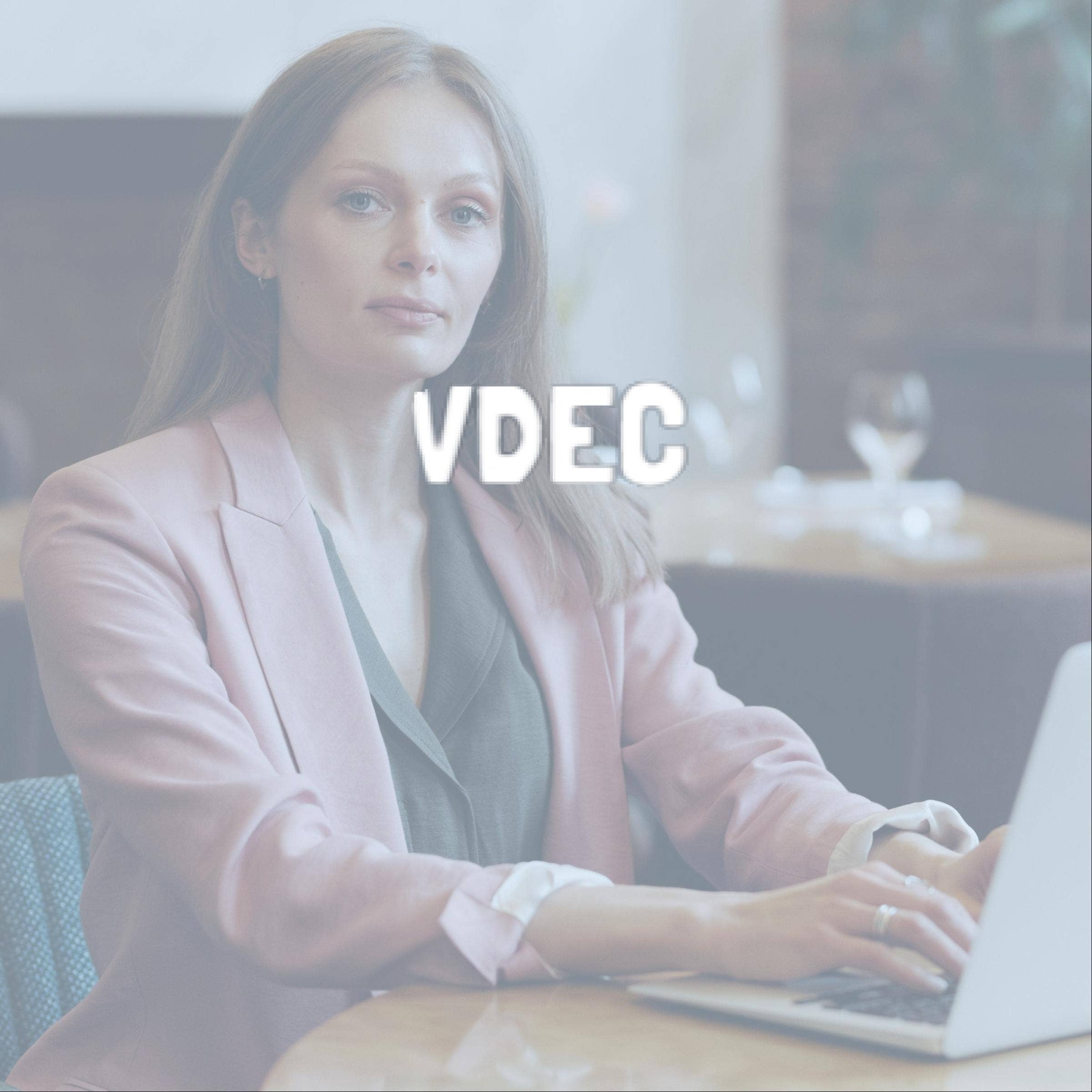 Review do VDEC com preços, comparações e FAQs