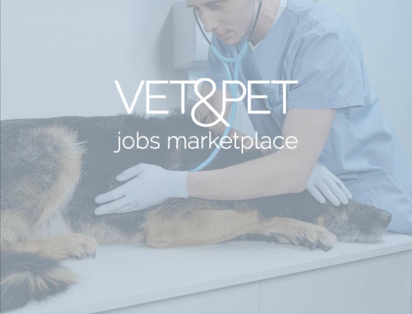 Vet & Pet Jobs