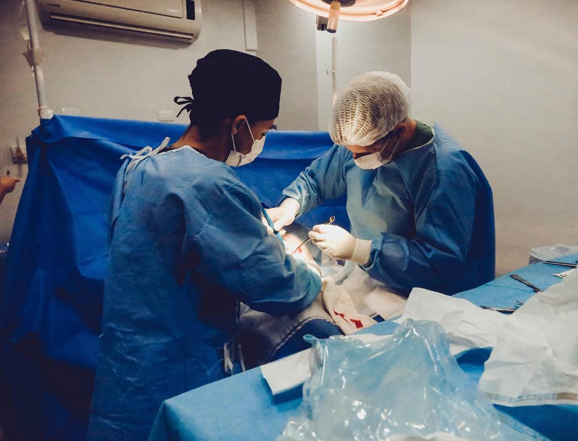 Physician assistant is supporting the doctor in a surgery