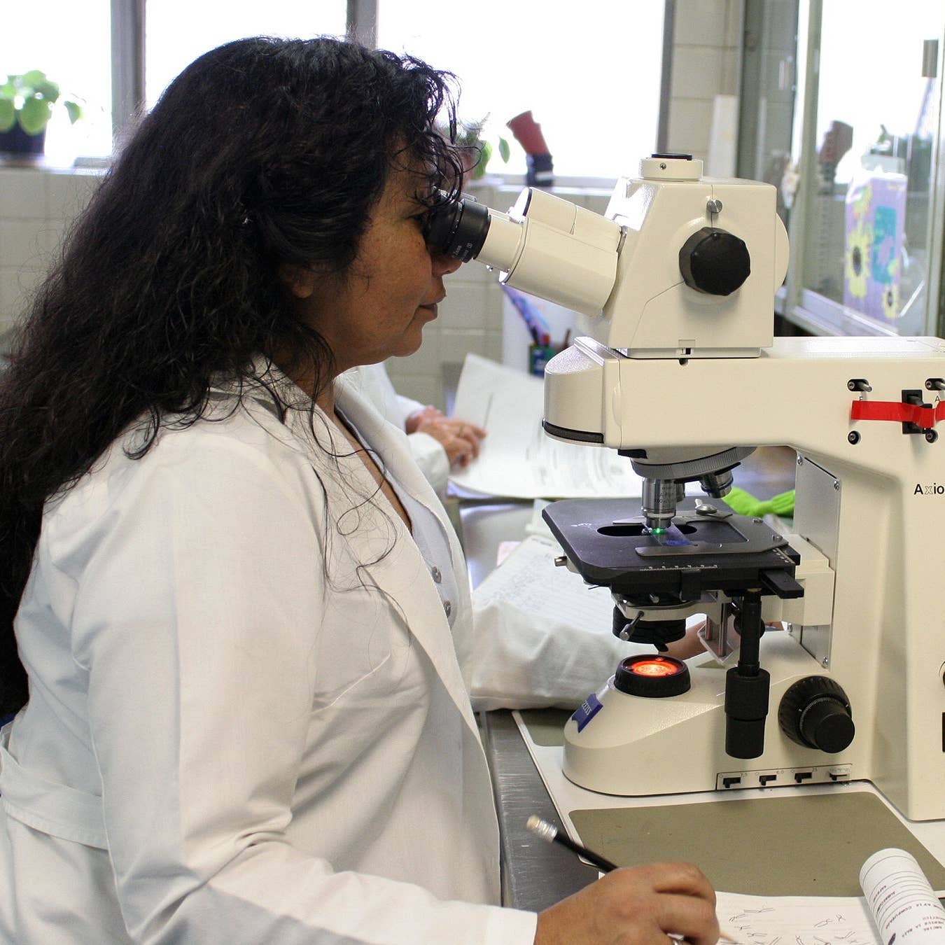 specimen-processor-job-description