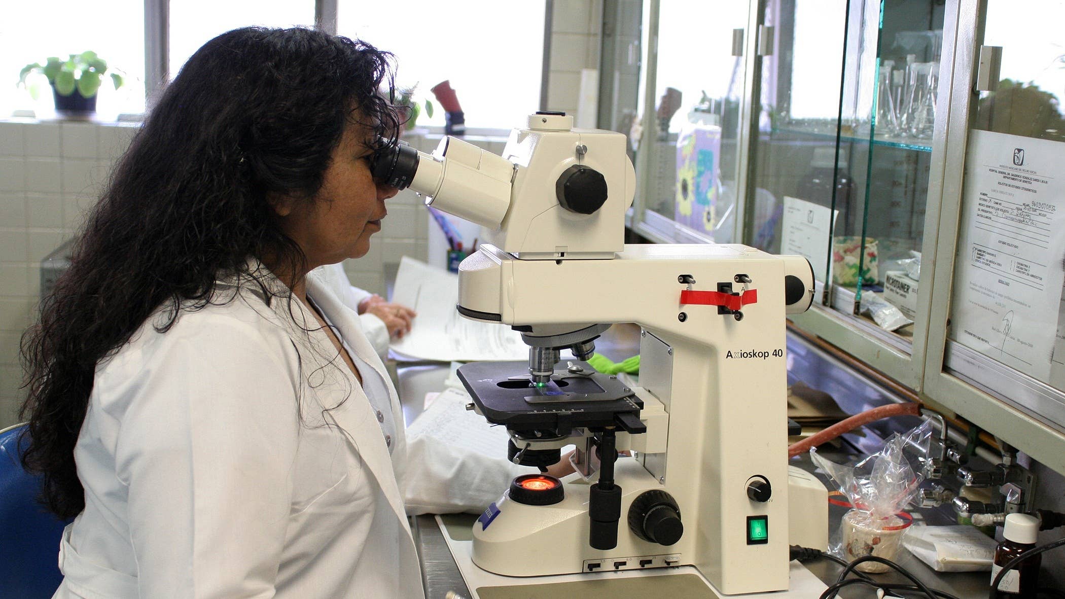 specimen-processor-job-description