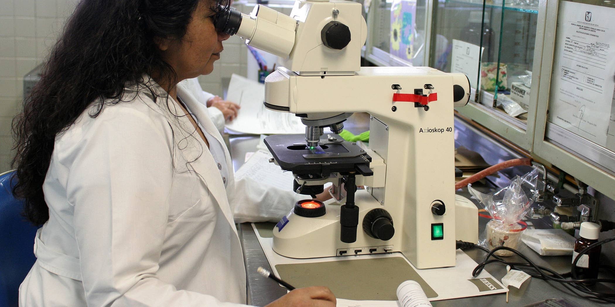 specimen-processor-job-description