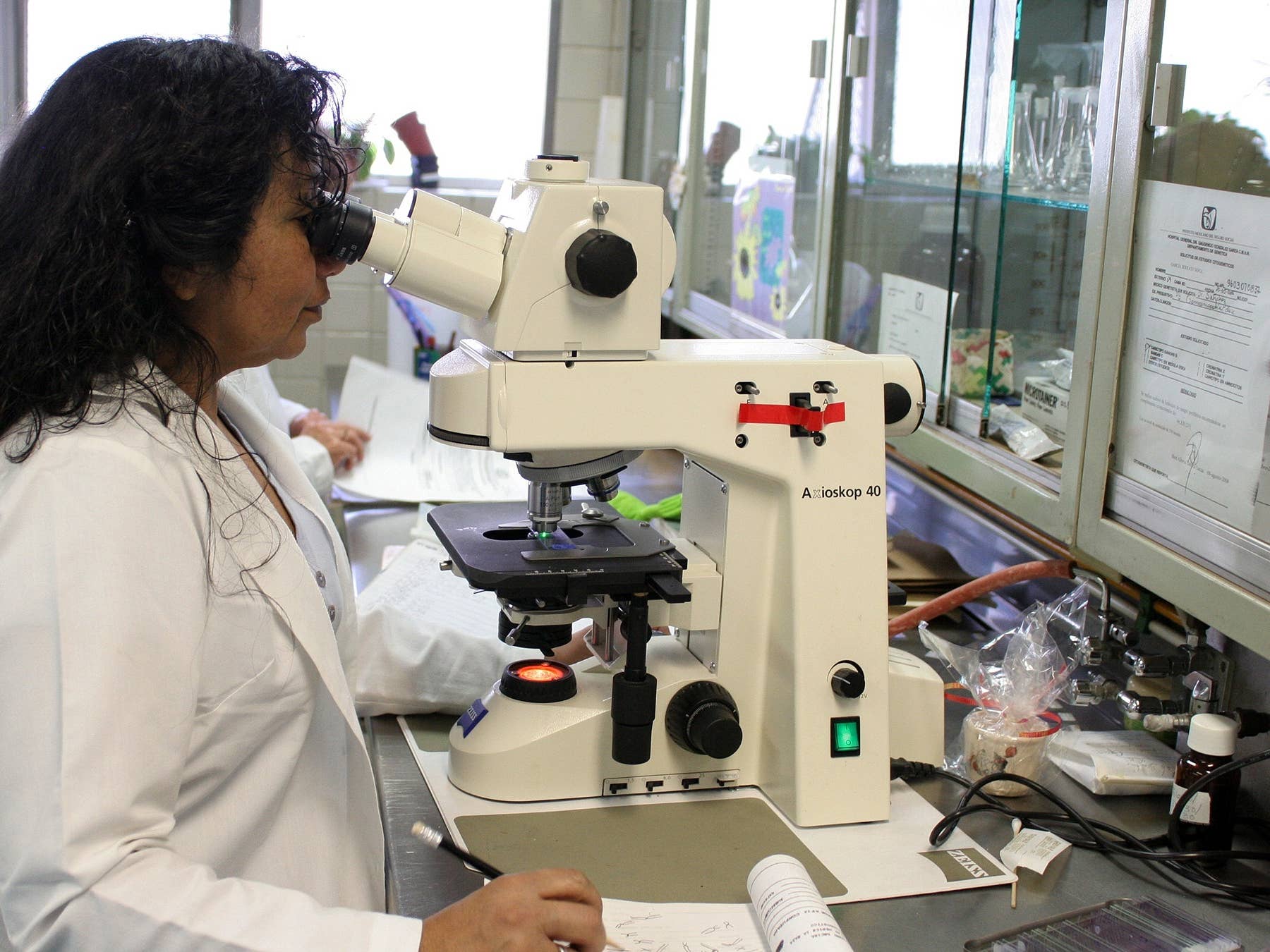 specimen-processor-job-description