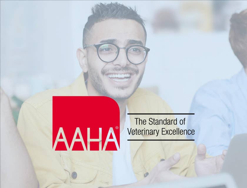 American Animal Hospital Association