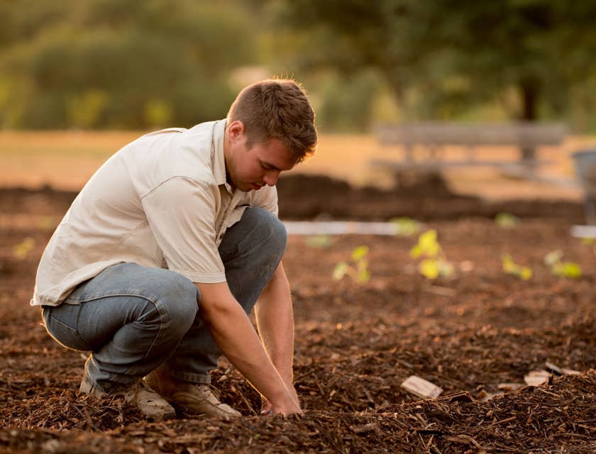 Agronomist crouching on the ground and collecting soil samples