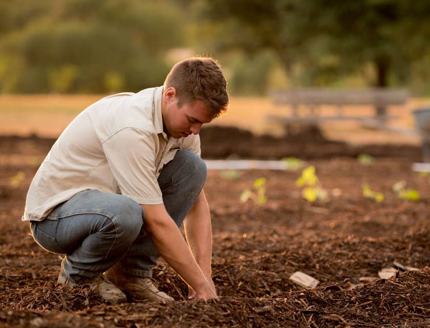 Agronomist Job Description