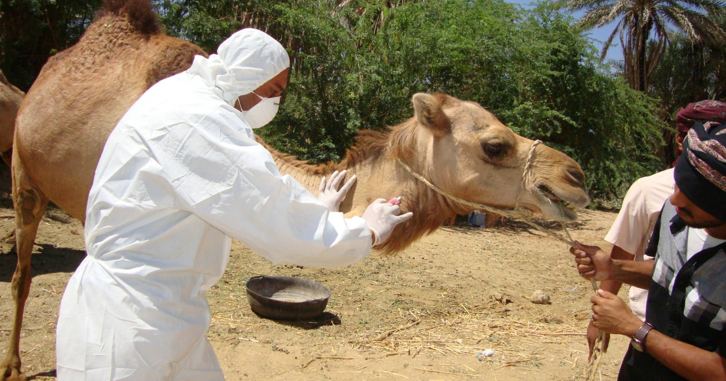 Animal Breeder Job Description