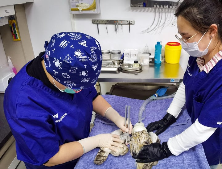 Associate Veterinarian Interview Questions