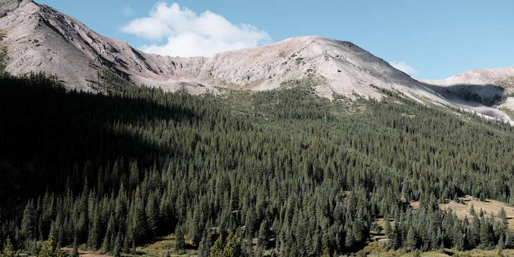 Woods and mountains in Aurora, Colorado.