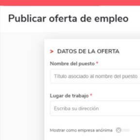 Ingresa toda la información sobre el puesto.