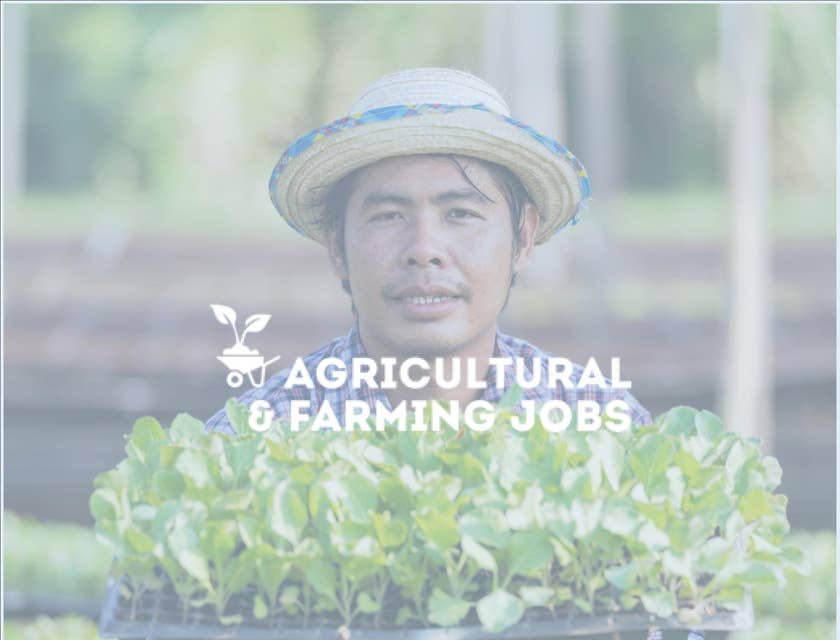 Agricultural & Farming Jobs