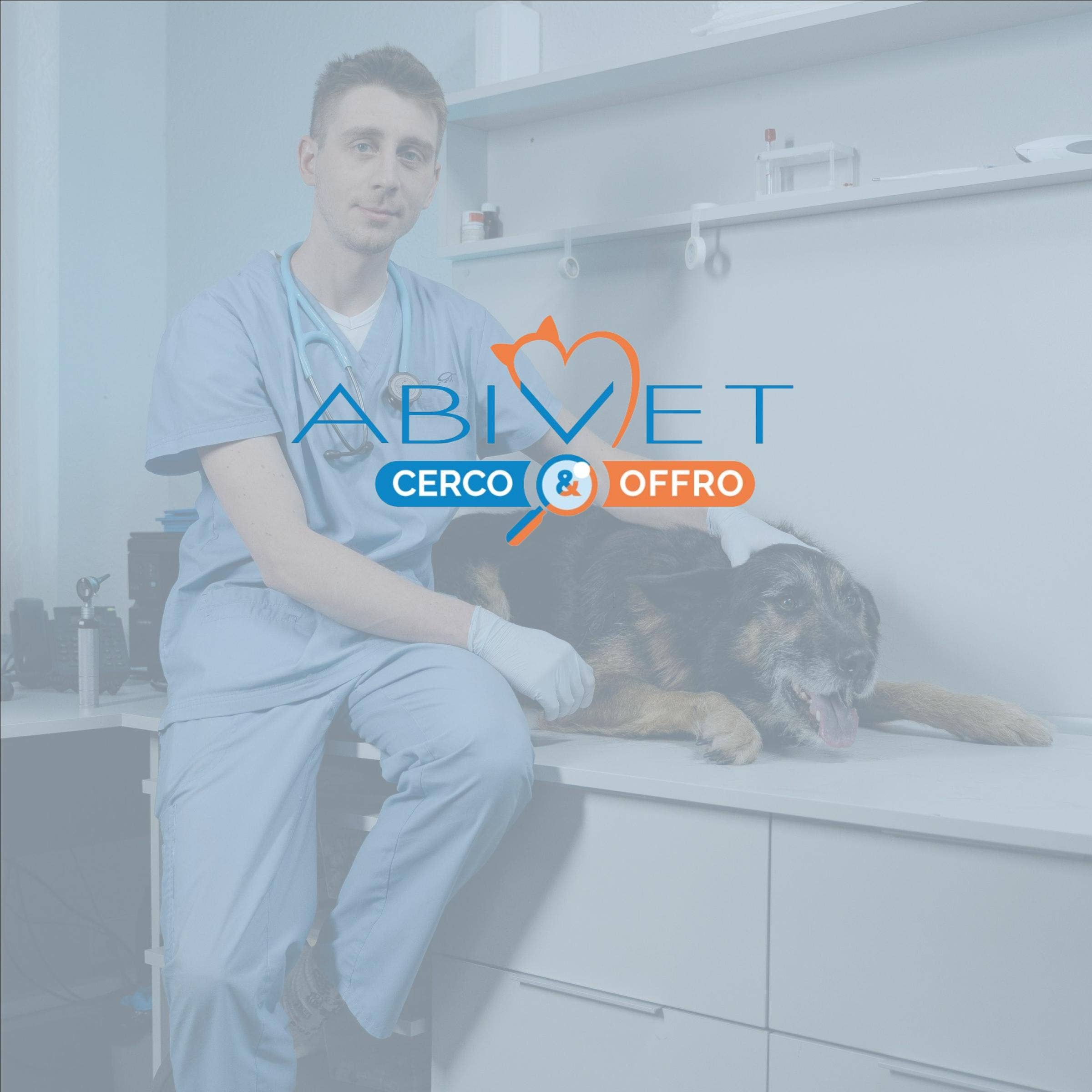 Recensione di Abivet Cerco&Offro con prezzi, alternative e FAQs