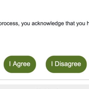 Accept the terms and conditions.
