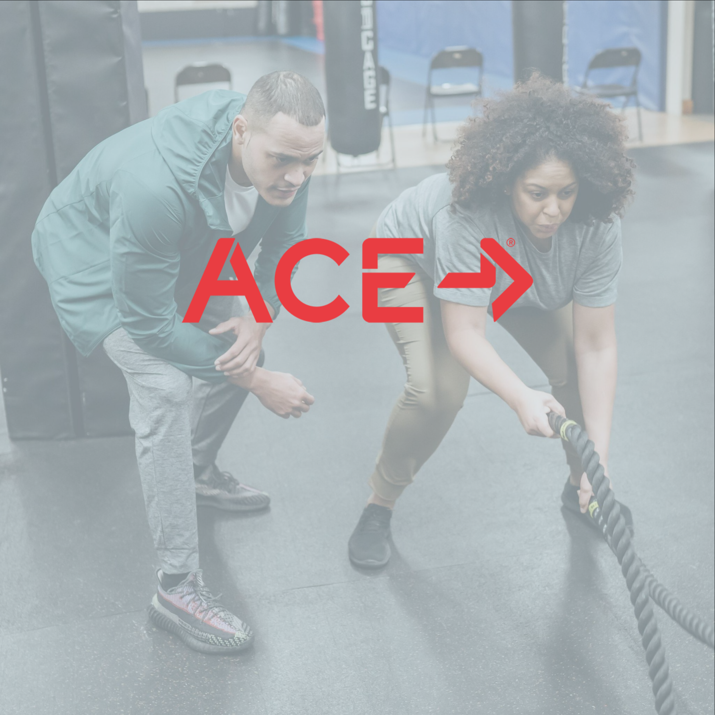 ACE Fitness Job Board Review With Pricing, Alternatives, and FAQs
