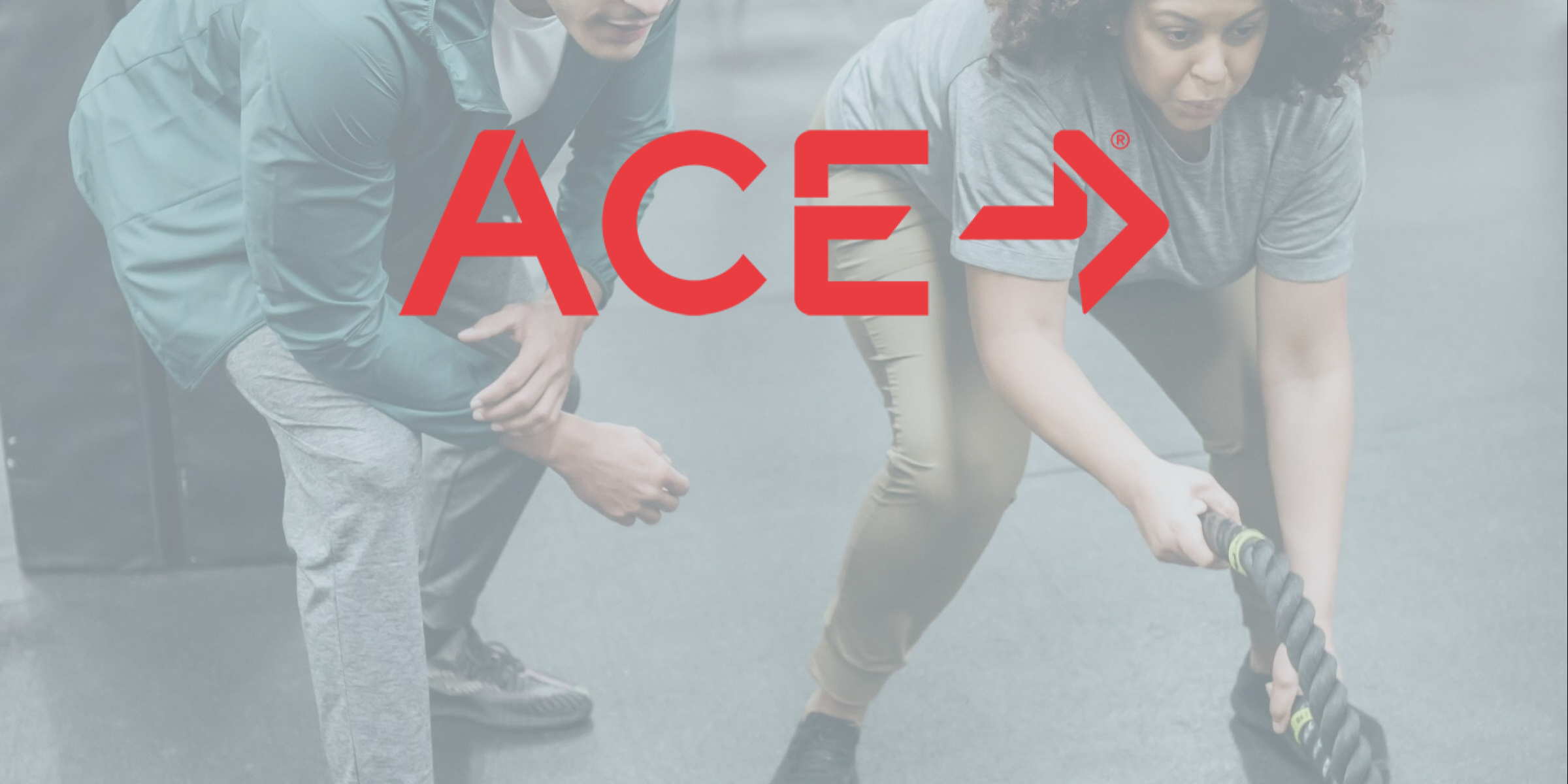 ACE Fitness Job Board