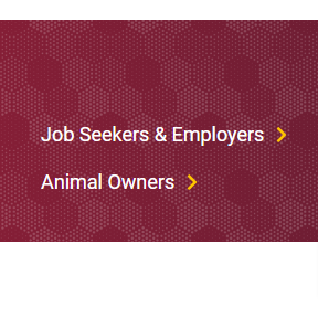 Head to the Job Seekers and Employment page.