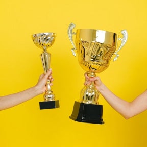 Add any awards you have received.