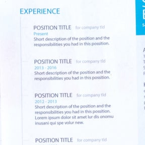 Add your professional experience.