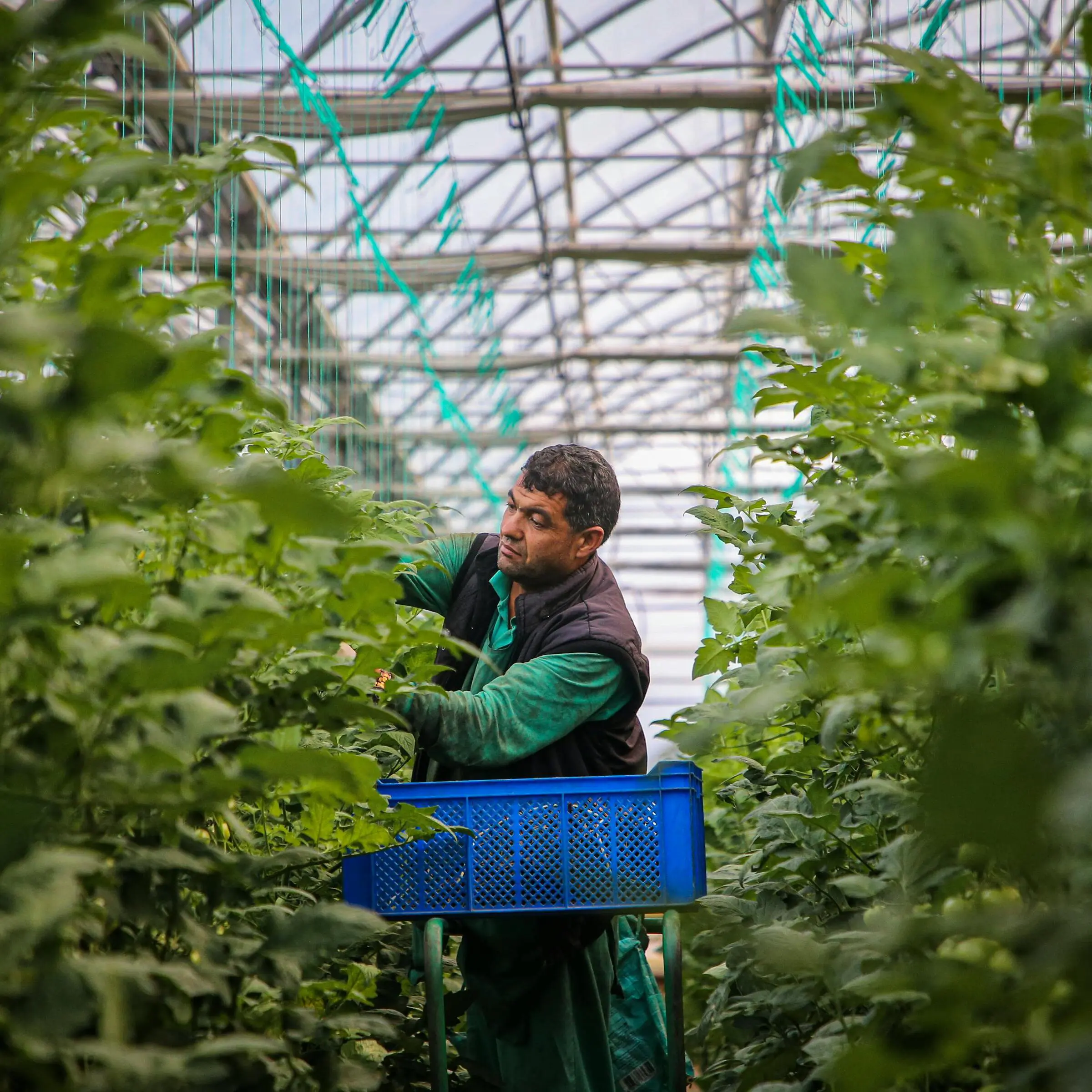 AFE Career Center Review With Pricing, Alternatives, and FAQs