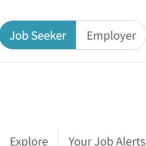 Click on "Employer."
