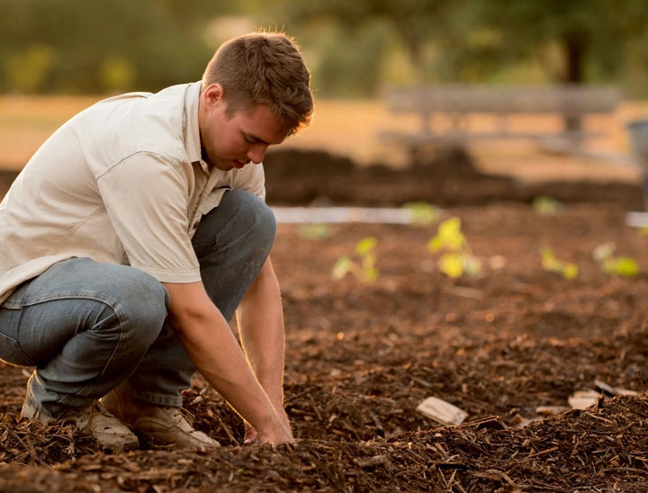 Agronomist Interview Questions
