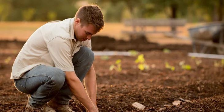 An agronomist crouching on the ground and collecting soil samples.
