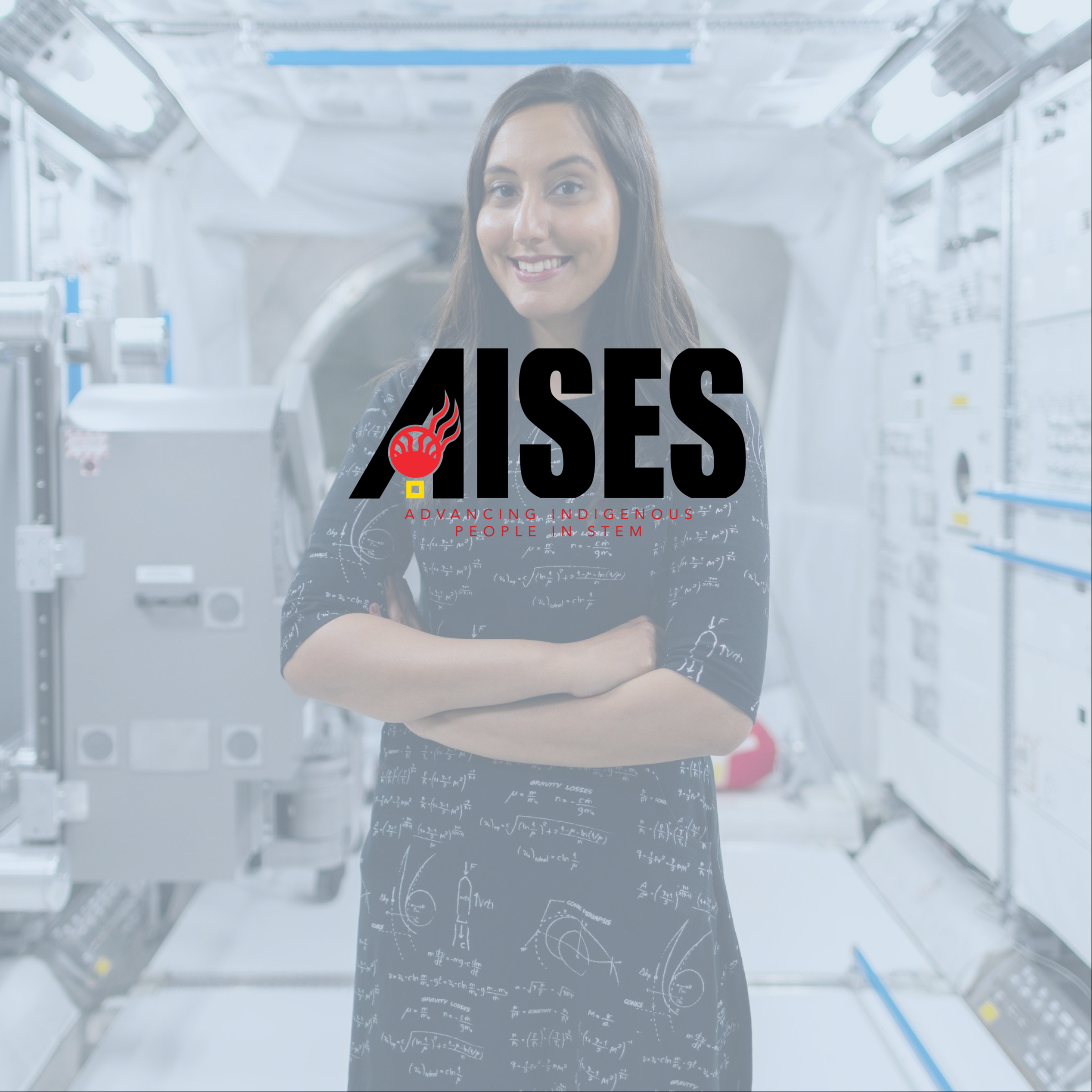 AISES Career Hub Review With Pricing, Alternatives, and FAQs