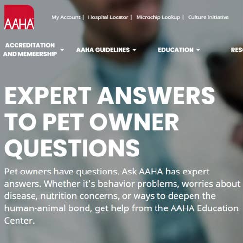 How to Post a Job on AAHA: