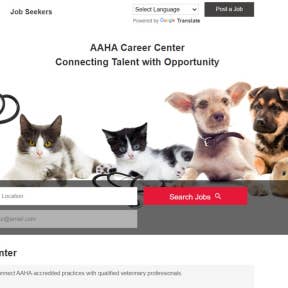 Click on "Post a Job."