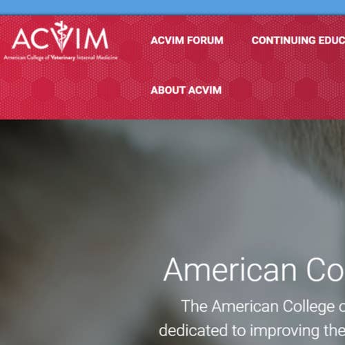 How to Post a Job on ACVIM: