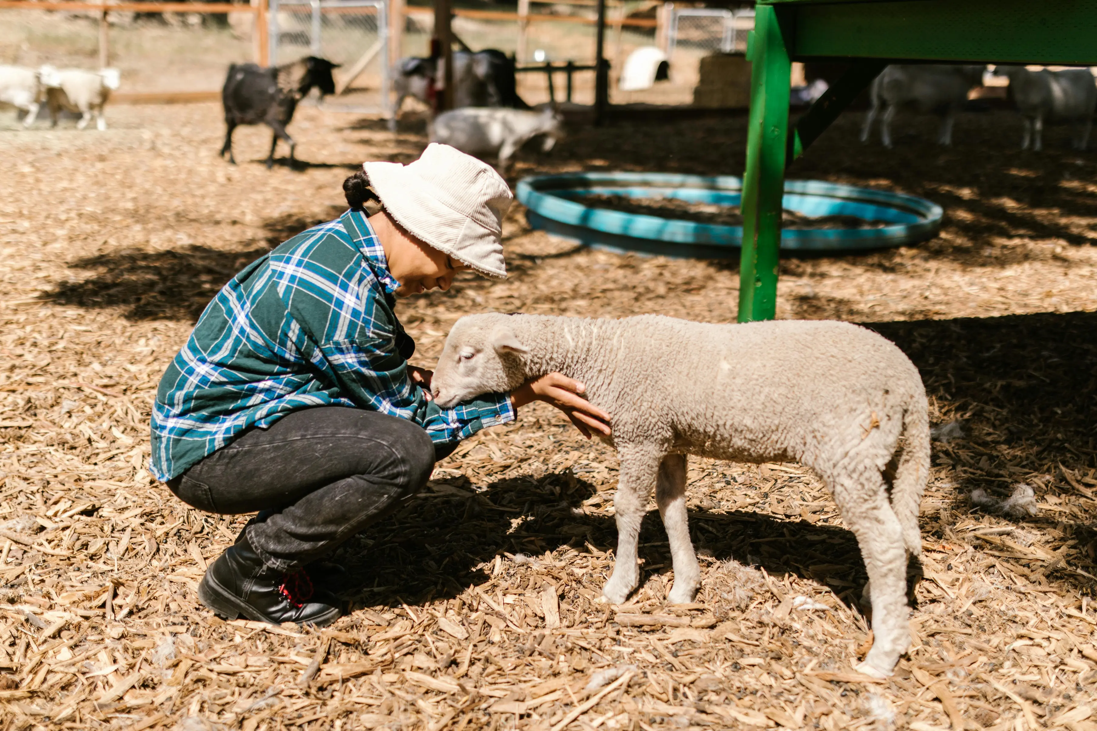 Animal Advocacy Careers Review With Pricing, Alternatives, and FAQs