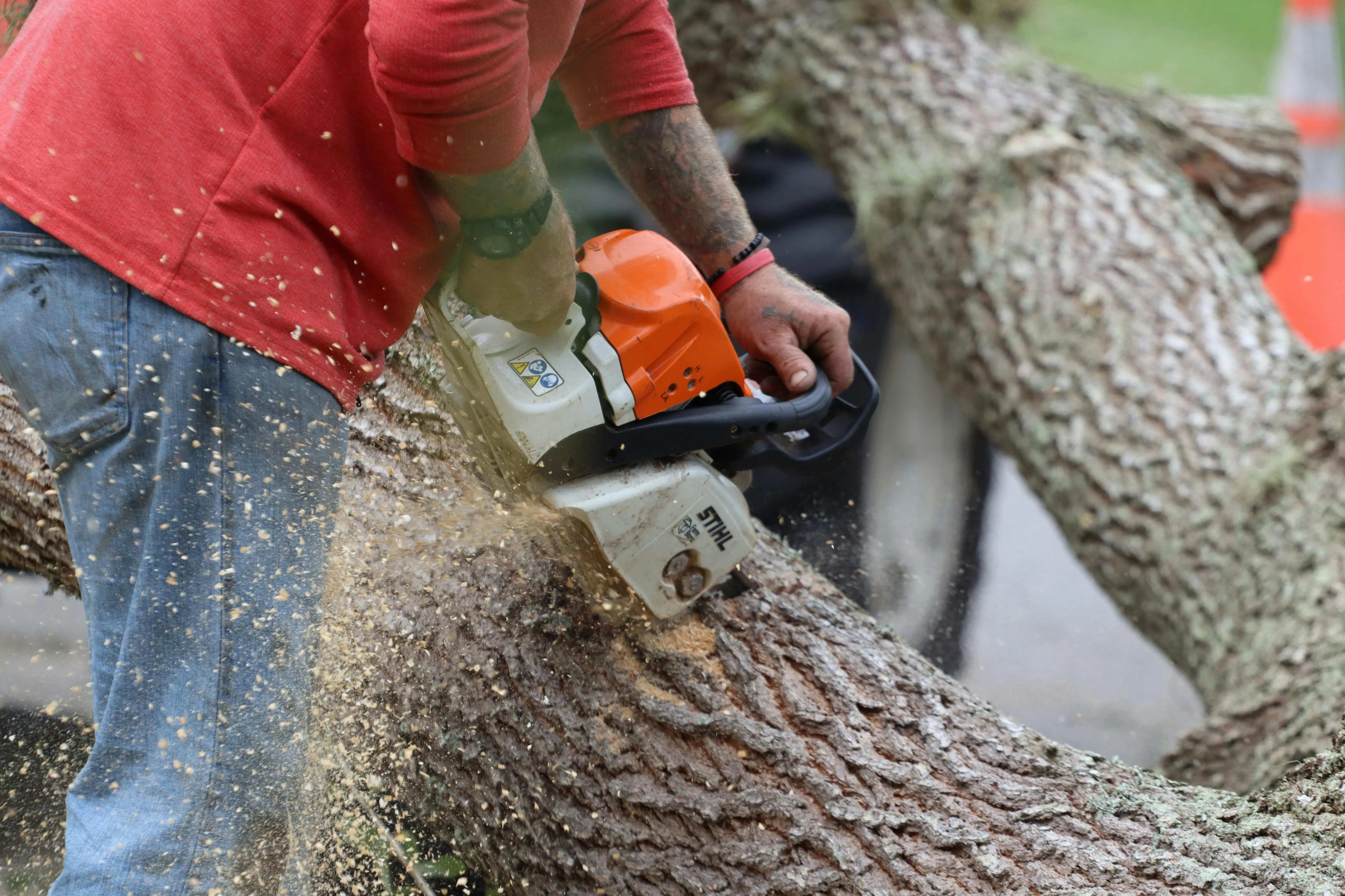 Arborist Job Description