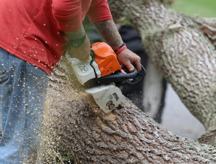 Arborist Job Description