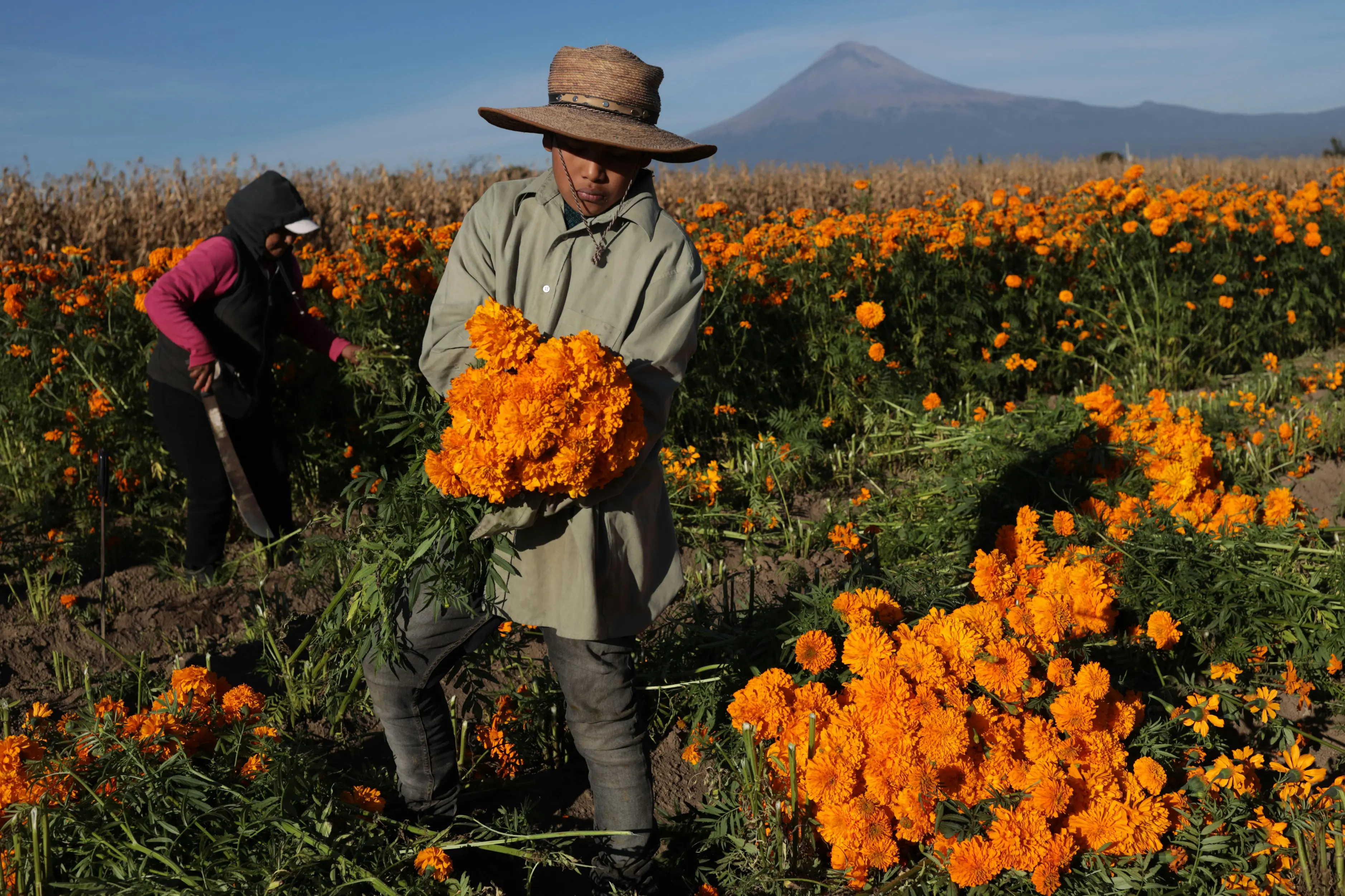 ASHS Career Center Review With Pricing, Alternatives, and FAQs