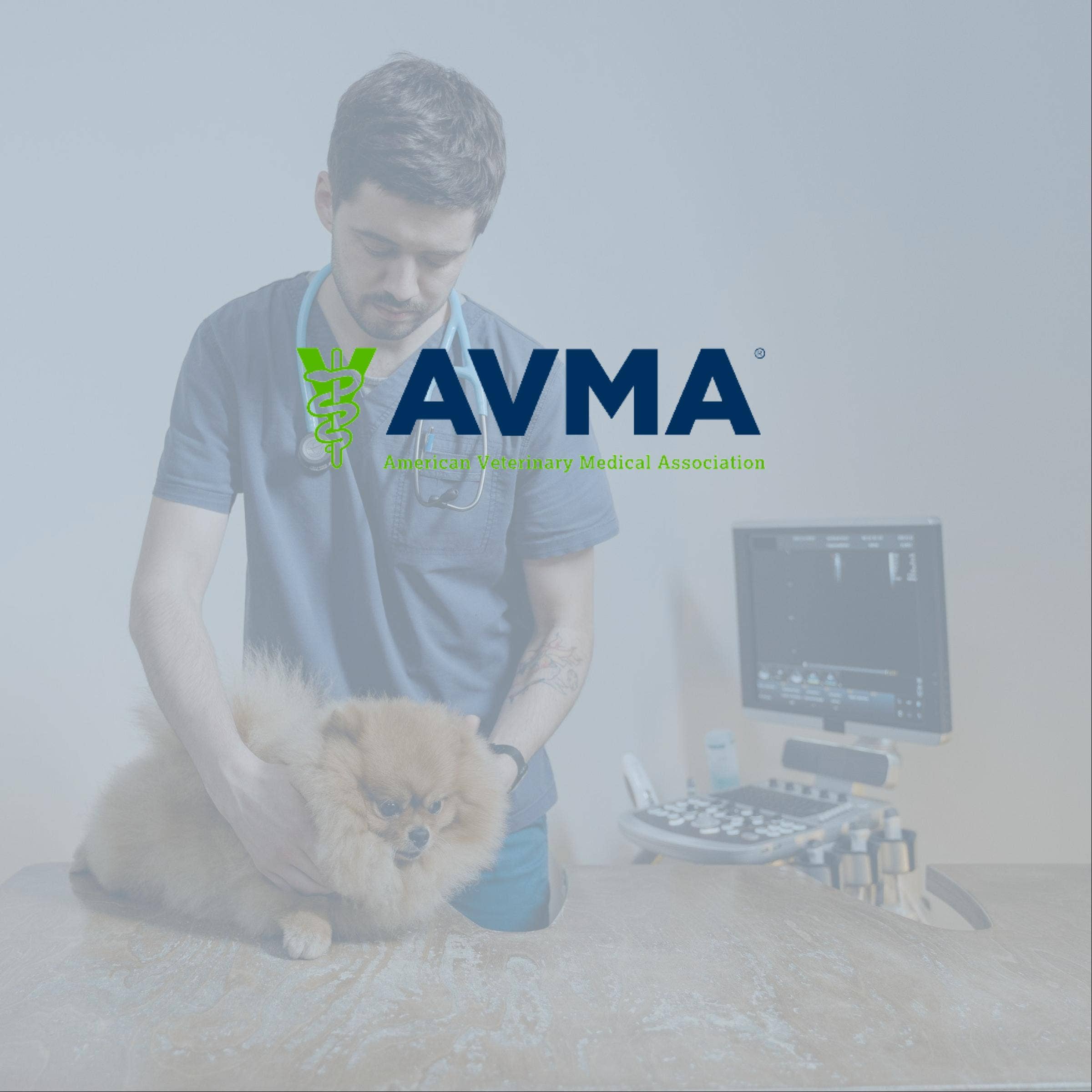 AVMA Veterinary Career Center Review With Pricing, Alternatives, and FAQs